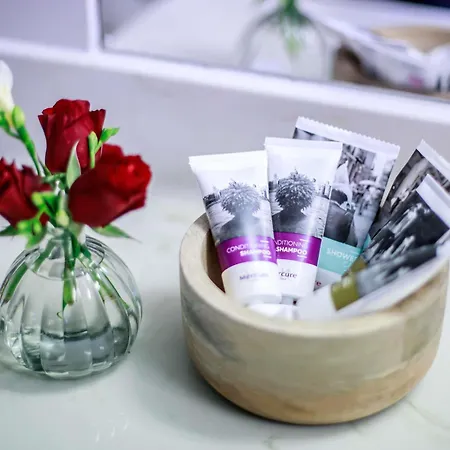 Mercure Dresden Elbland 4* ריזה