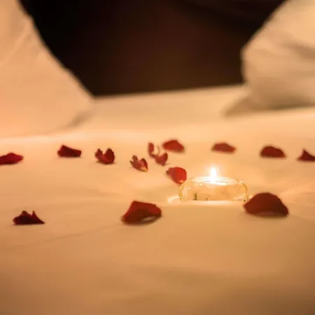 מלון Mercure Dresden Elbland