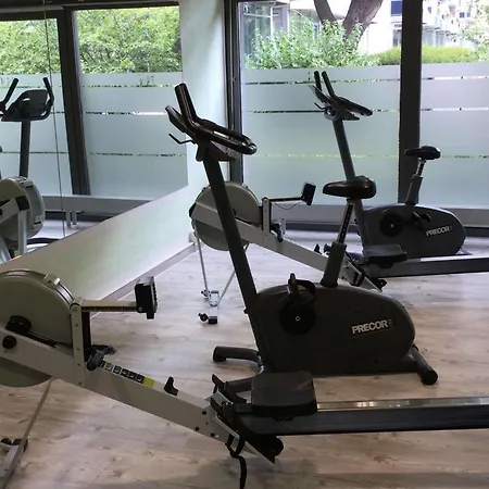 Mercure Dresden Elbland ריזה