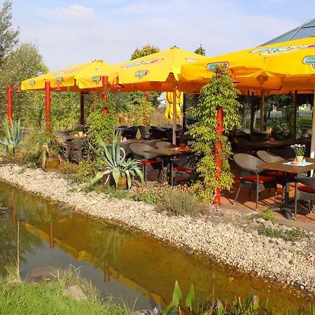 מלון Mercure Dresden Elbland ריזה