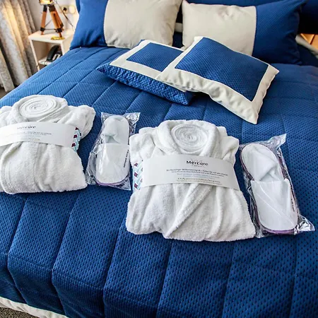 מלון Mercure Dresden Elbland ריזה